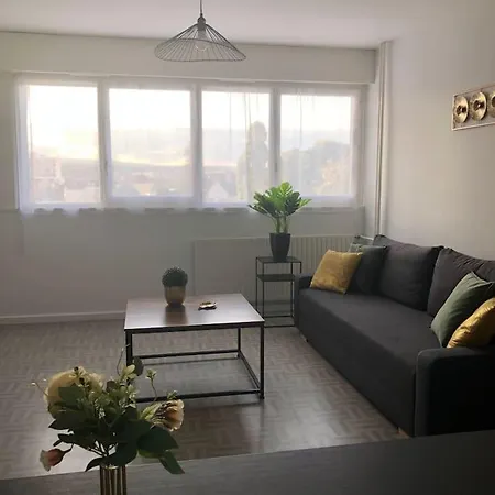 Le Petit Lorry - Appt 20 45 M2 Metz