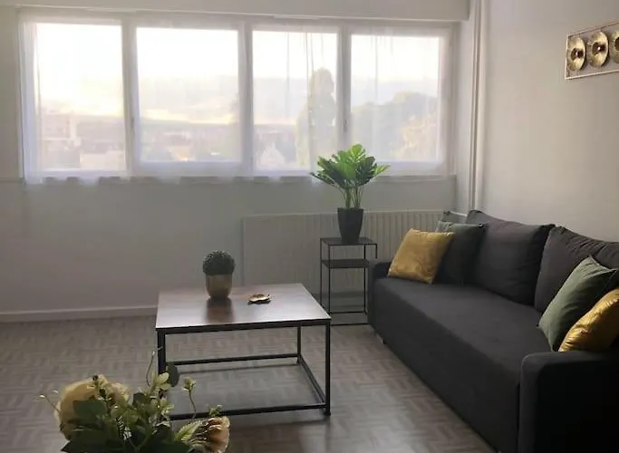 Le Petit Lorry - Appt 20 45 M2 Metz